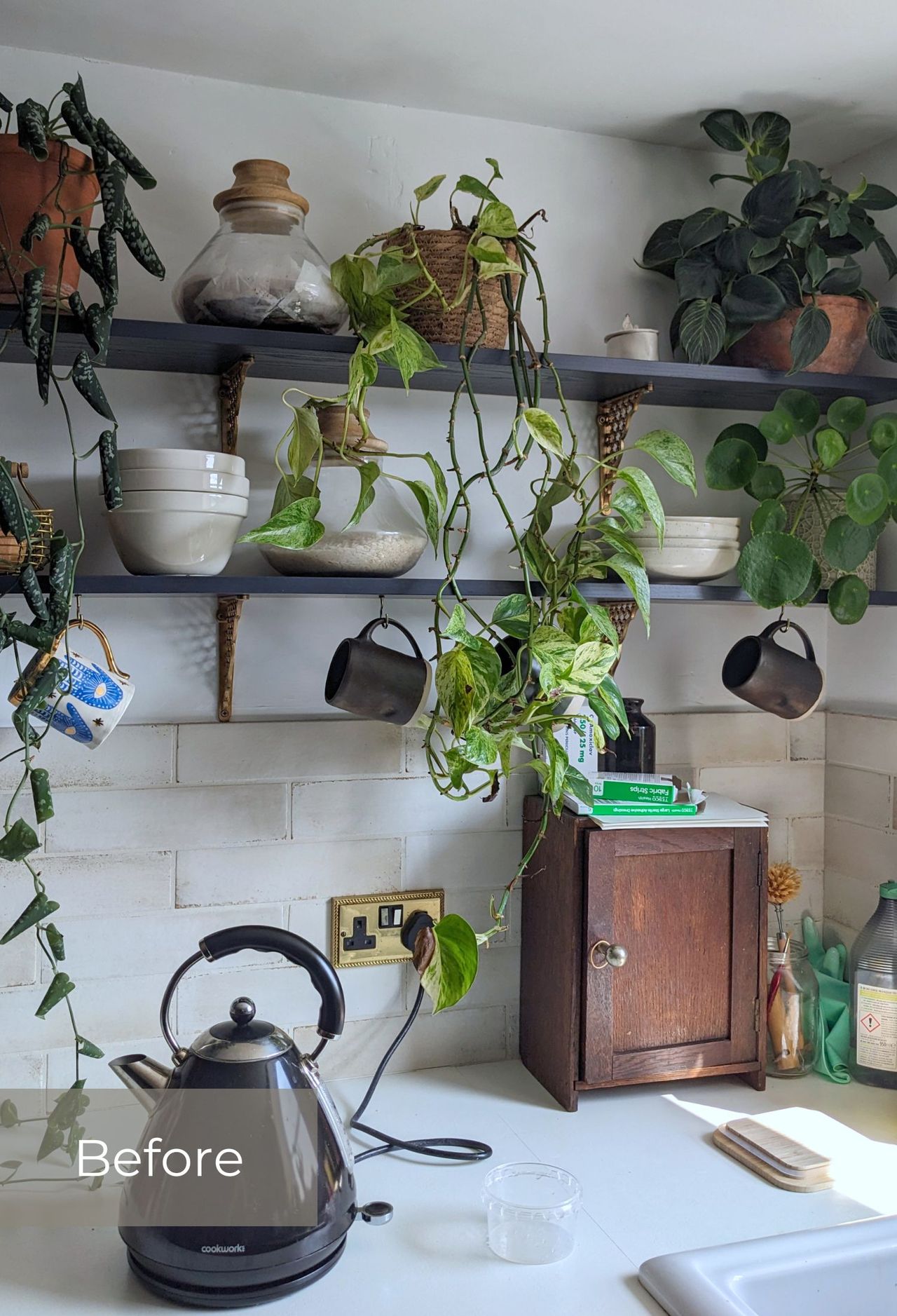Open black kitchen shelves with mugs hanging under, lots of plants and nested bowls and crockey. It looks quite cluttered