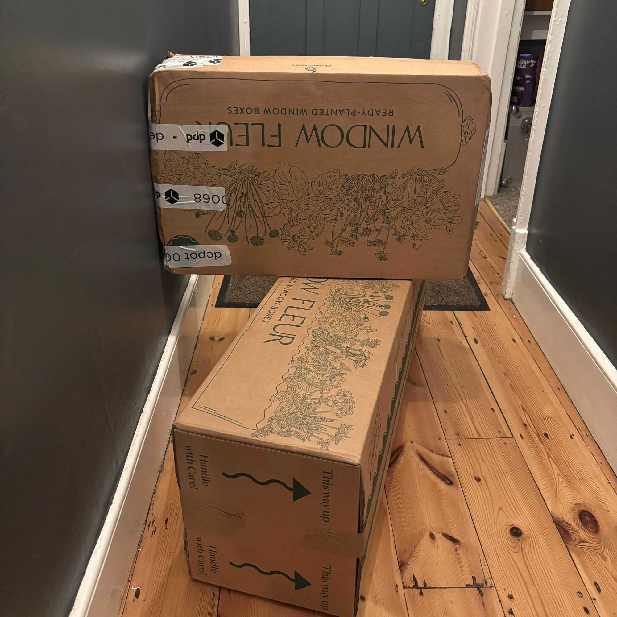 Window box with purple and green plants in