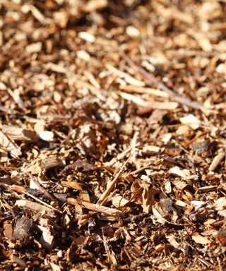 A collection of light and dark brown wood chip mulching on the ground