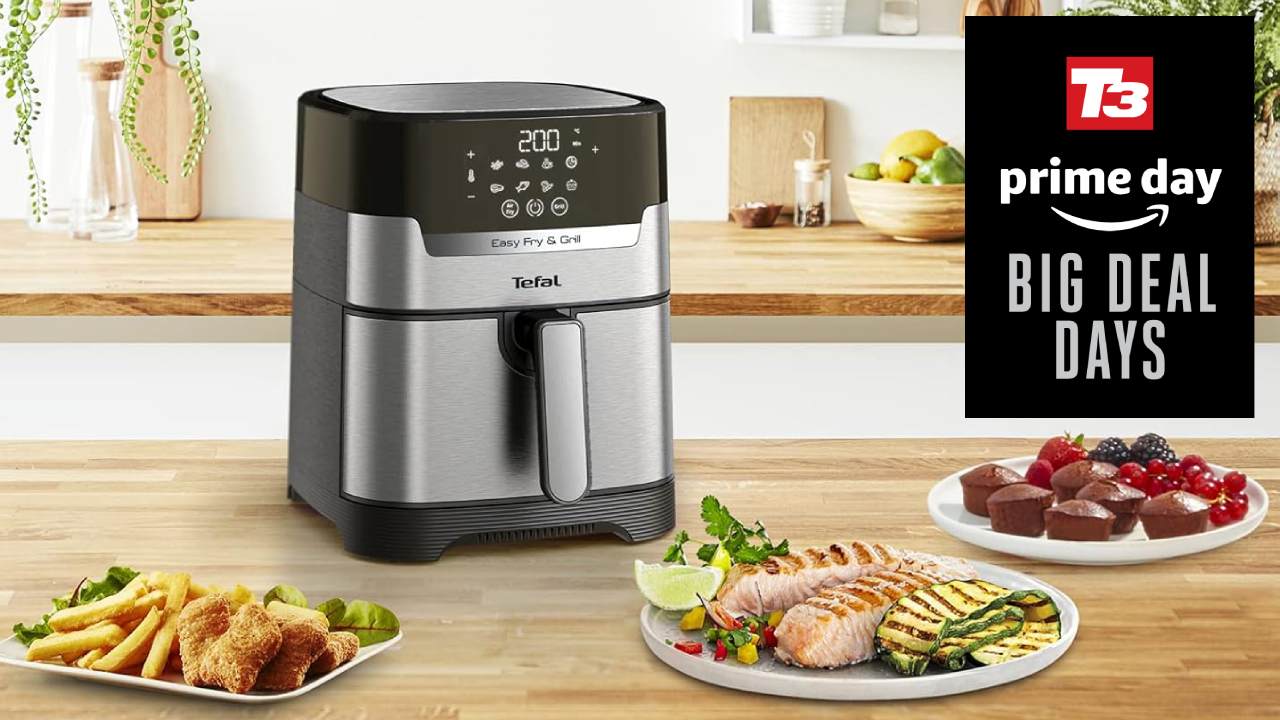 Tefal Easy Fry Precision+ 2-in-1 Air Fryer