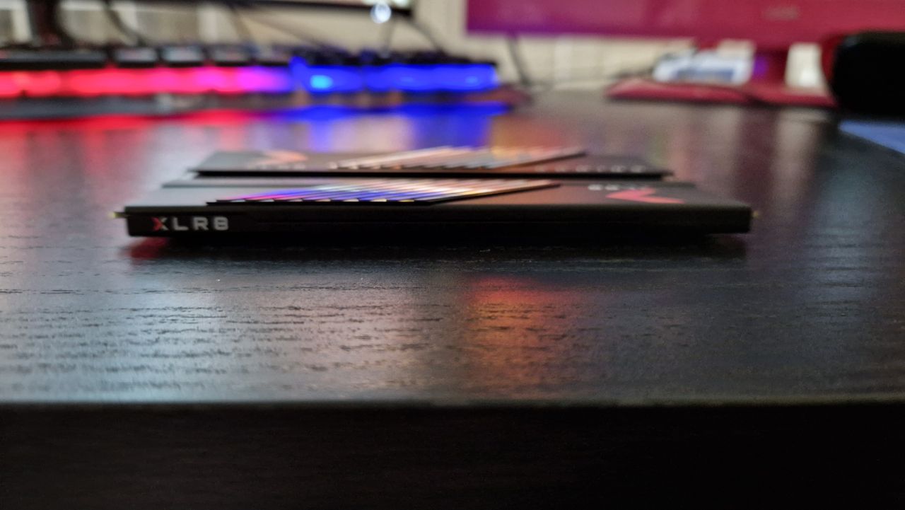 PNY XLR8 DDR5 RAM review image showing the width of the RAM