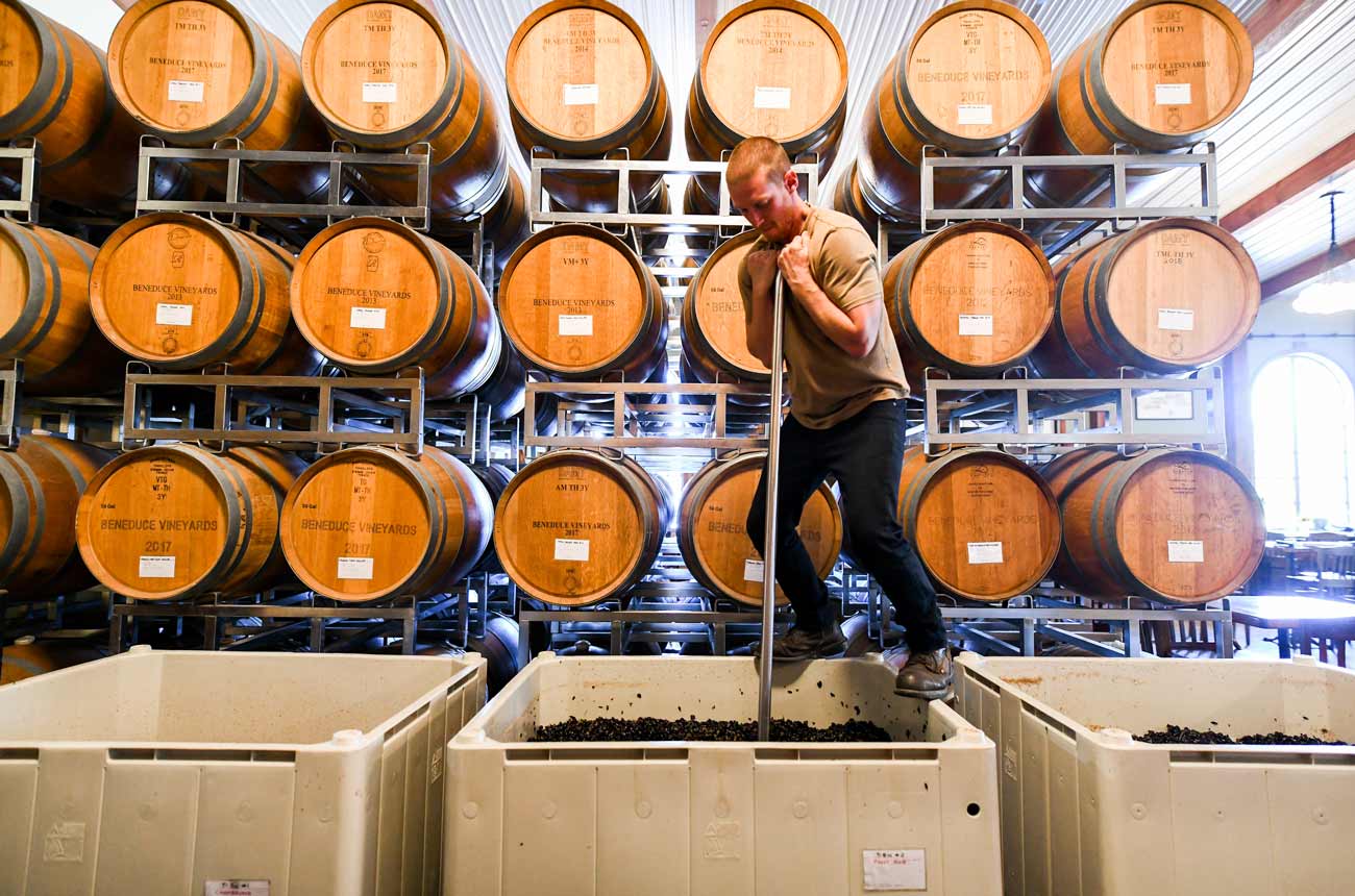 image of winemaker in the cellar