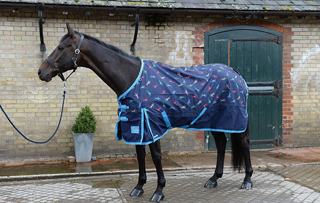 Review of Turn-out rugs; Rug No2, Shires Highlander Original Lite, at Wild Farm Equestrian, near Watford in Hertfordshire, UK on 1st September 2015