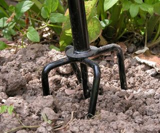 A large black tool for aerating a lawn in a pile of soil