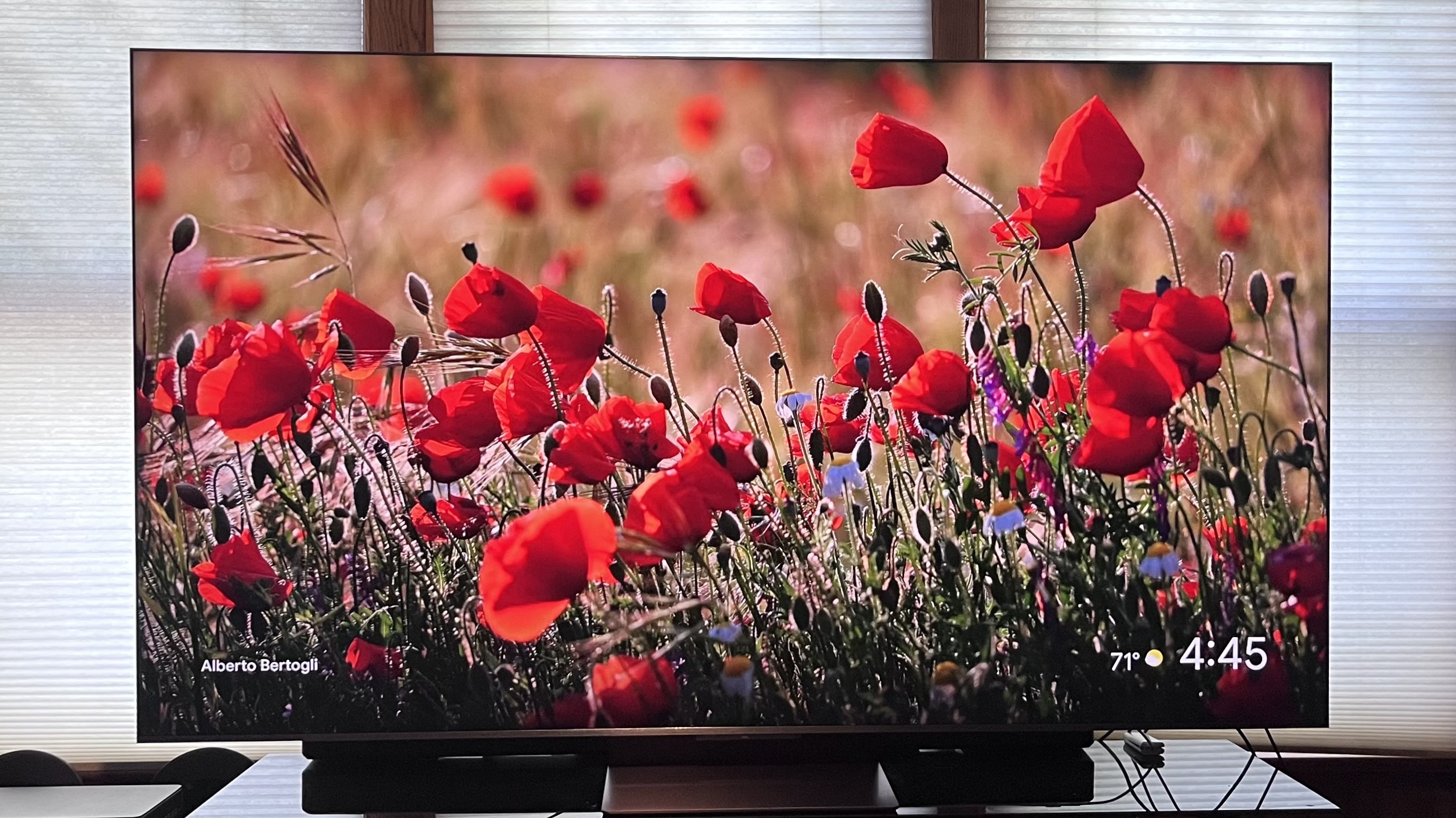 TCL QM9K showing image of red flowers