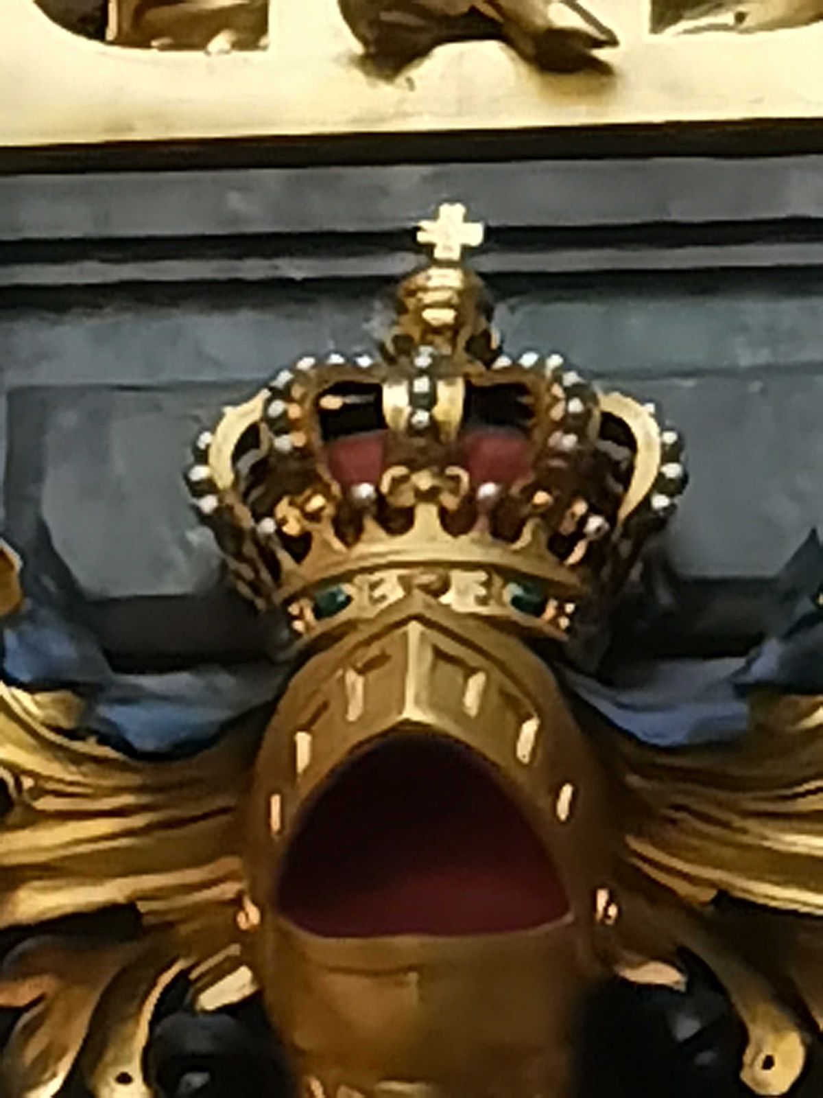 50x zoom