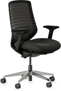 Branch Ergonomic Chair