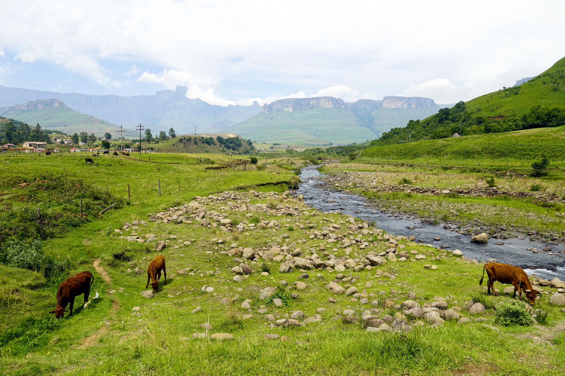 GuruShots - Nature March 2026