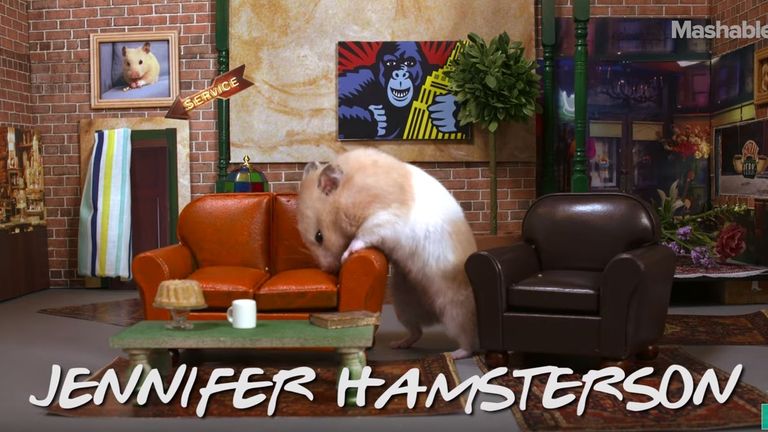 Hamster on the set of Friends