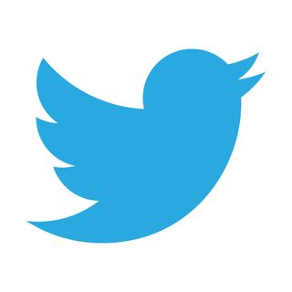 The Twitter bird represents everything from the freedom to speak your mind to freedom from tyranny