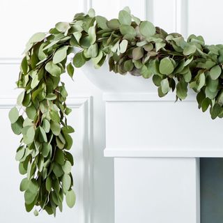 Fresh Silver Dollar Eucalyptus Wreath & Garland