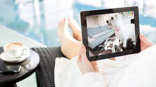 Woman by pool on vacation watching her dog via pet camera on tablet