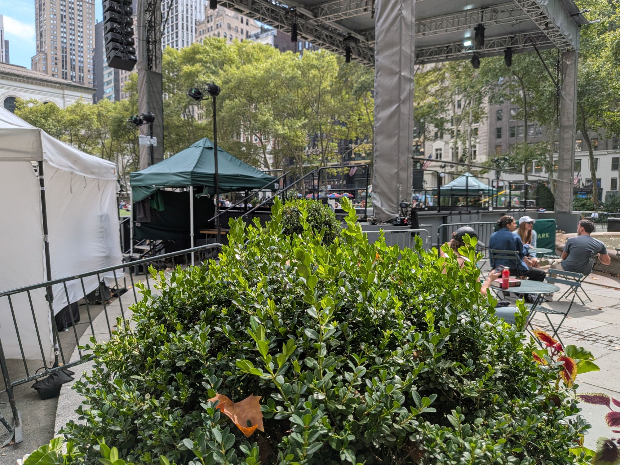 Google Pixel 10 zoom test sample.