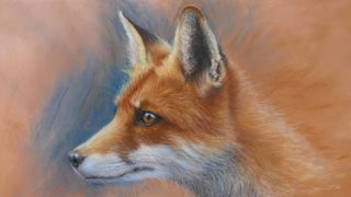 how to draw a fox - image of a fox in pastels