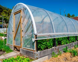 hoop-house greenhouse