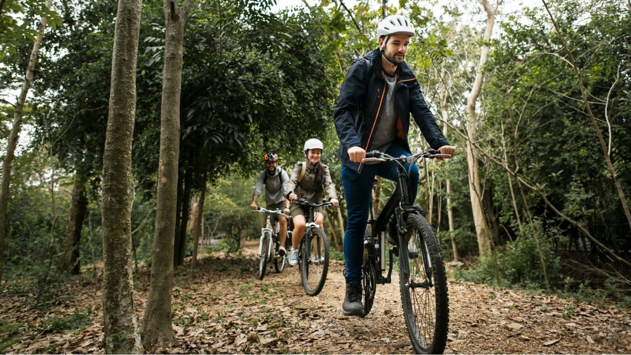 A group of cyclists riding along a wooded path