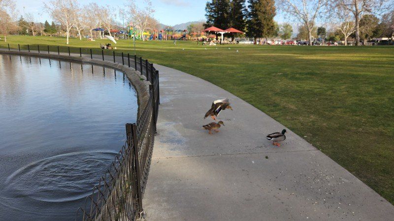 Galaxy S22 Plus Camera Sample