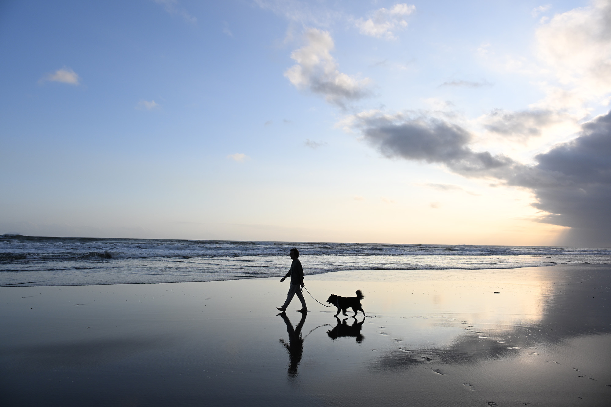 Person walking dog along beach under blue sky