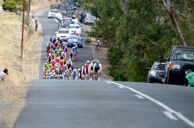 The peloton stage 3 of the Santos Tour Down Under