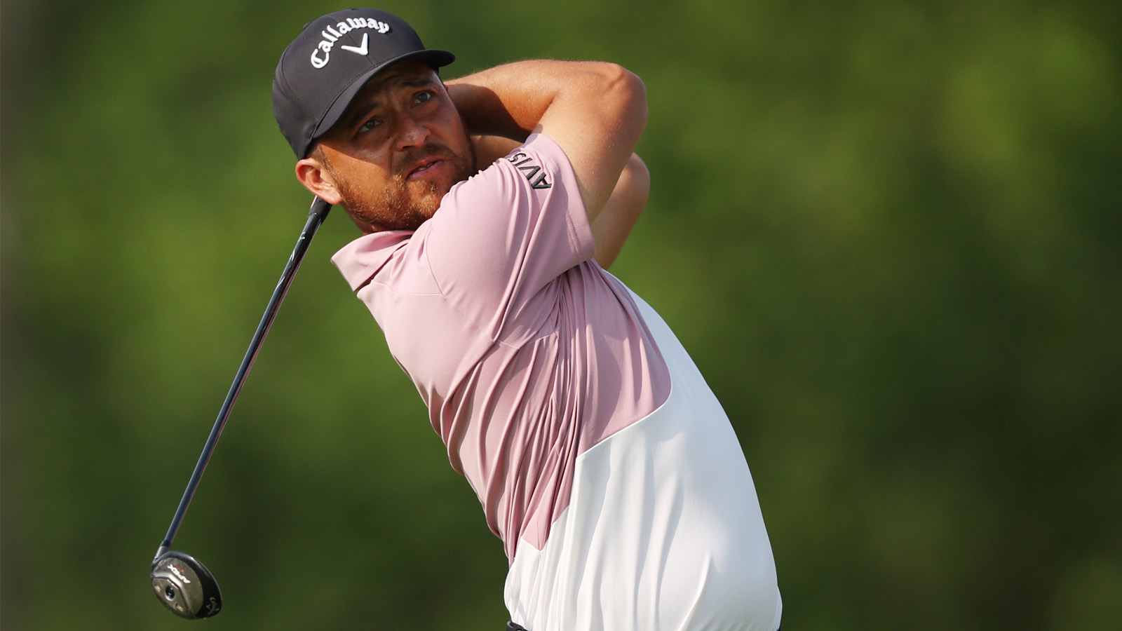 What Is The Greatest Hybrid Of All Time?