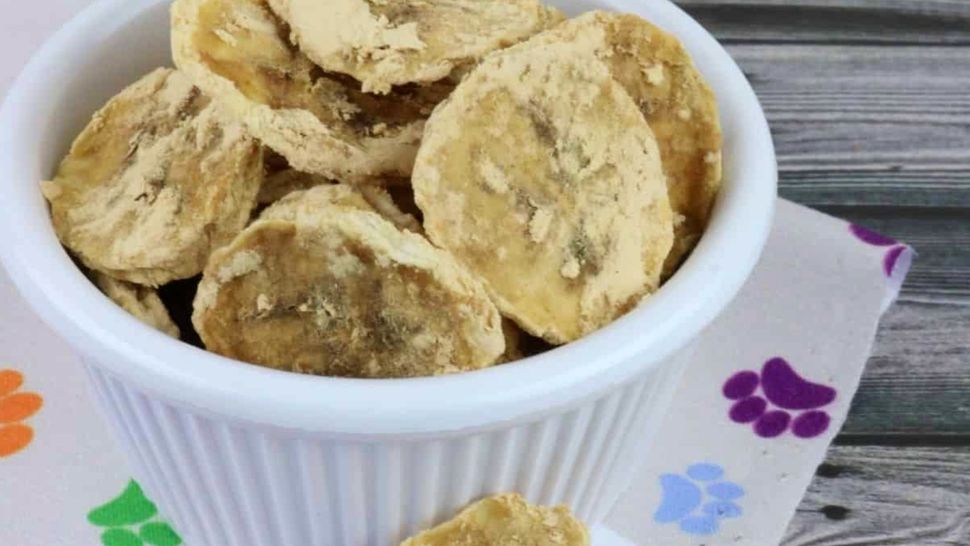 DIY dehydrated dog treats Easy recipes to make for your pooch PetsRadar