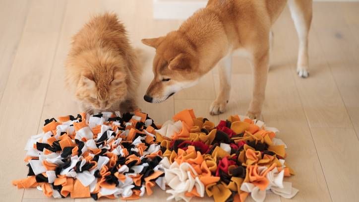 diy snuffle mat 