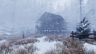 Prologue: Go Wayback! forest screenshots 