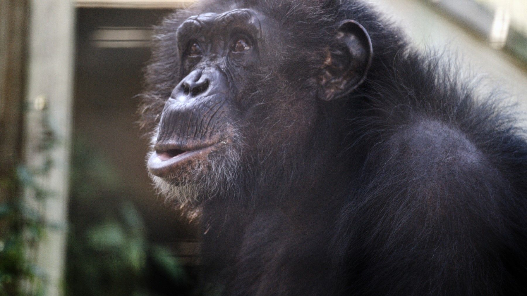 New on Max August 24-30: new TV shows and movies | What to Watch