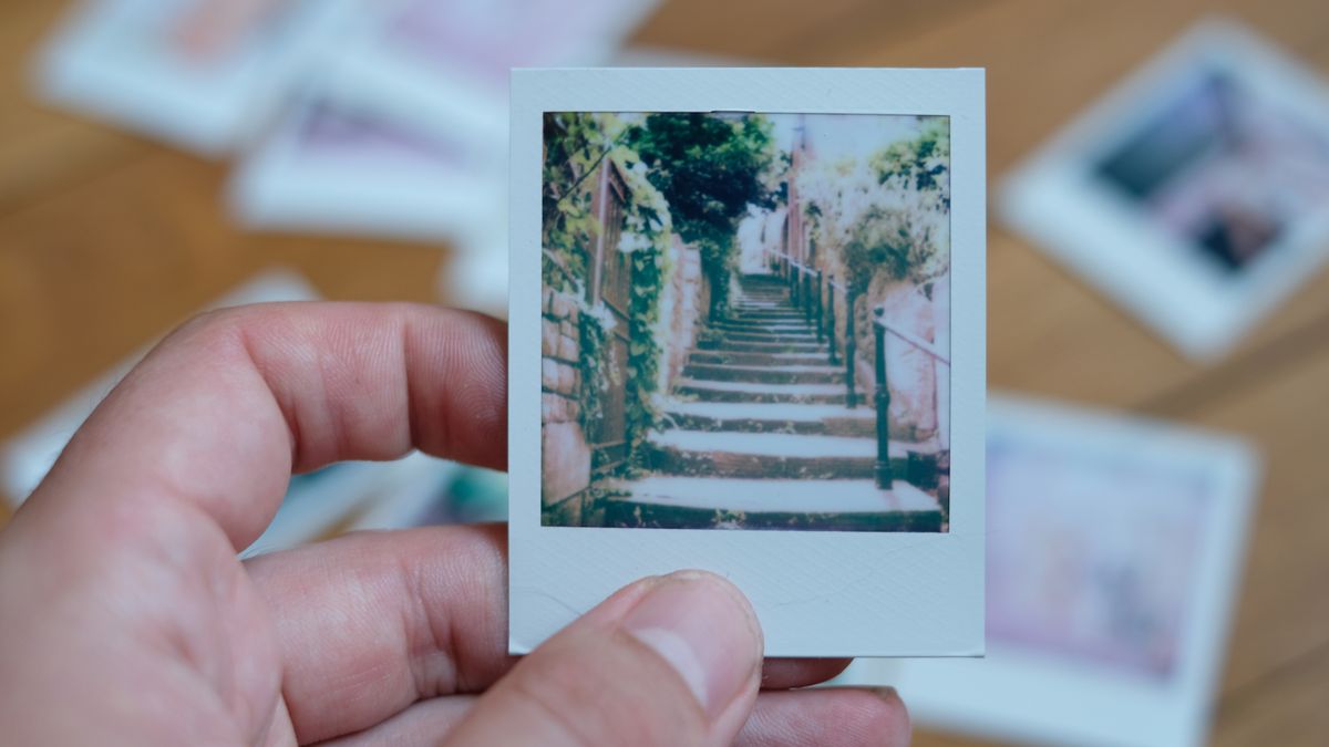 Photograph of prints made with Polaroid Go Gen 3, showing thin steps leading up surrounded by trees