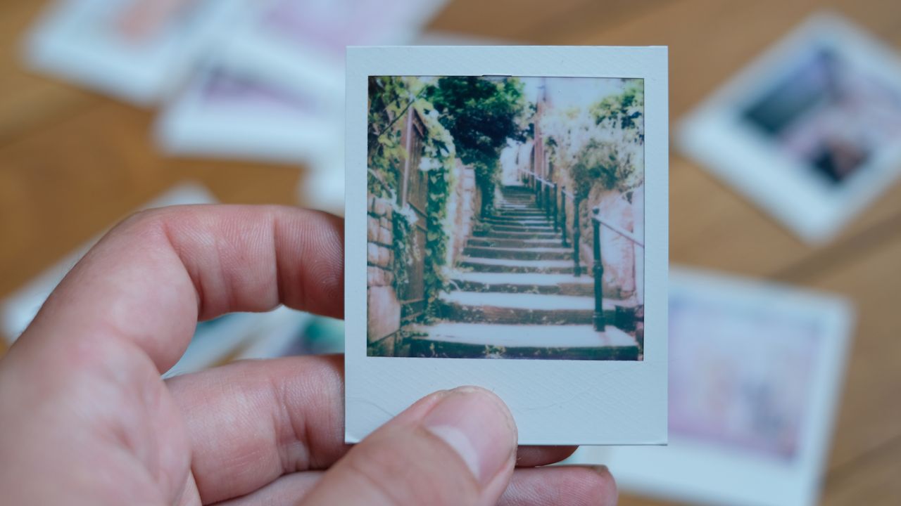 Photograph of prints made with Polaroid Go Gen 3, showing thin steps leading up surrounded by trees