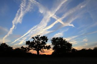 C5TD89 Oak trees and dramatic sky. Tolworth Court Farm Nature Reserve, Surrey England UK.