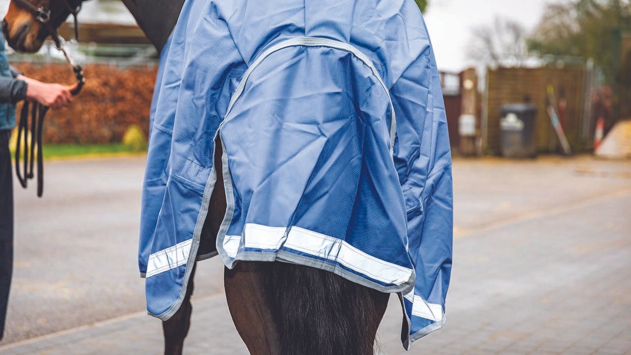 Derby House Elite detach-a-neck turnout review