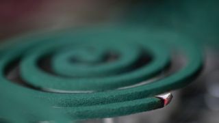 mosquito coil