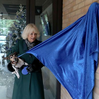 The Duchess Of Cornwall Visits Battersea Dogs Home In Windsor