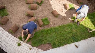 Two people laying sod in a yard