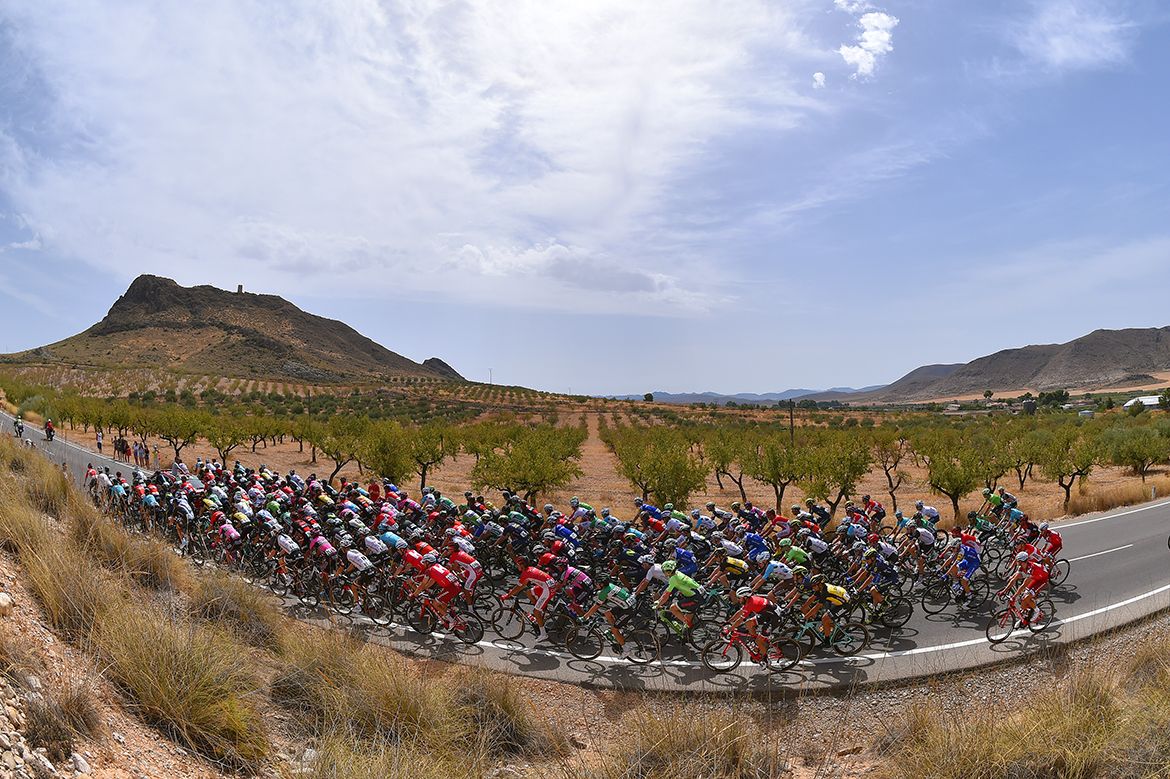 The peloton on the eighth stage of the