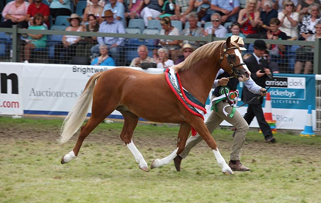 Royal Welsh Show 2018