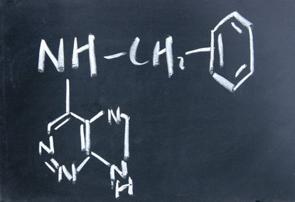 plant hormone