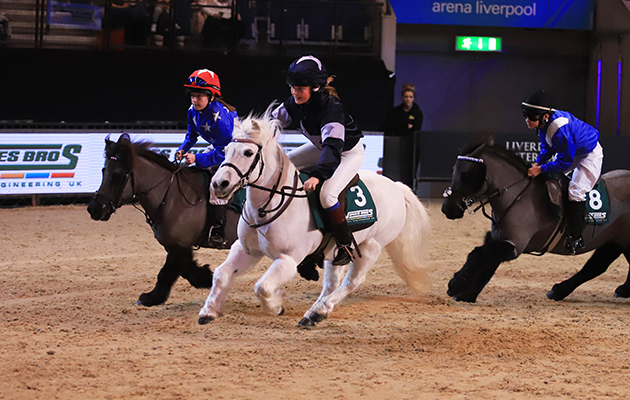 Fast and furious: no leeway for Christmas bellies on these pint-sized &lsquo;racehorses&rsquo;&hellip;