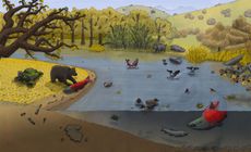 ancient-salmon-river-scene