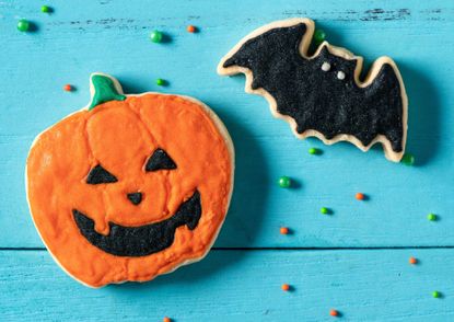 Close up picture of one pumpkin and one bat Halloween cookies