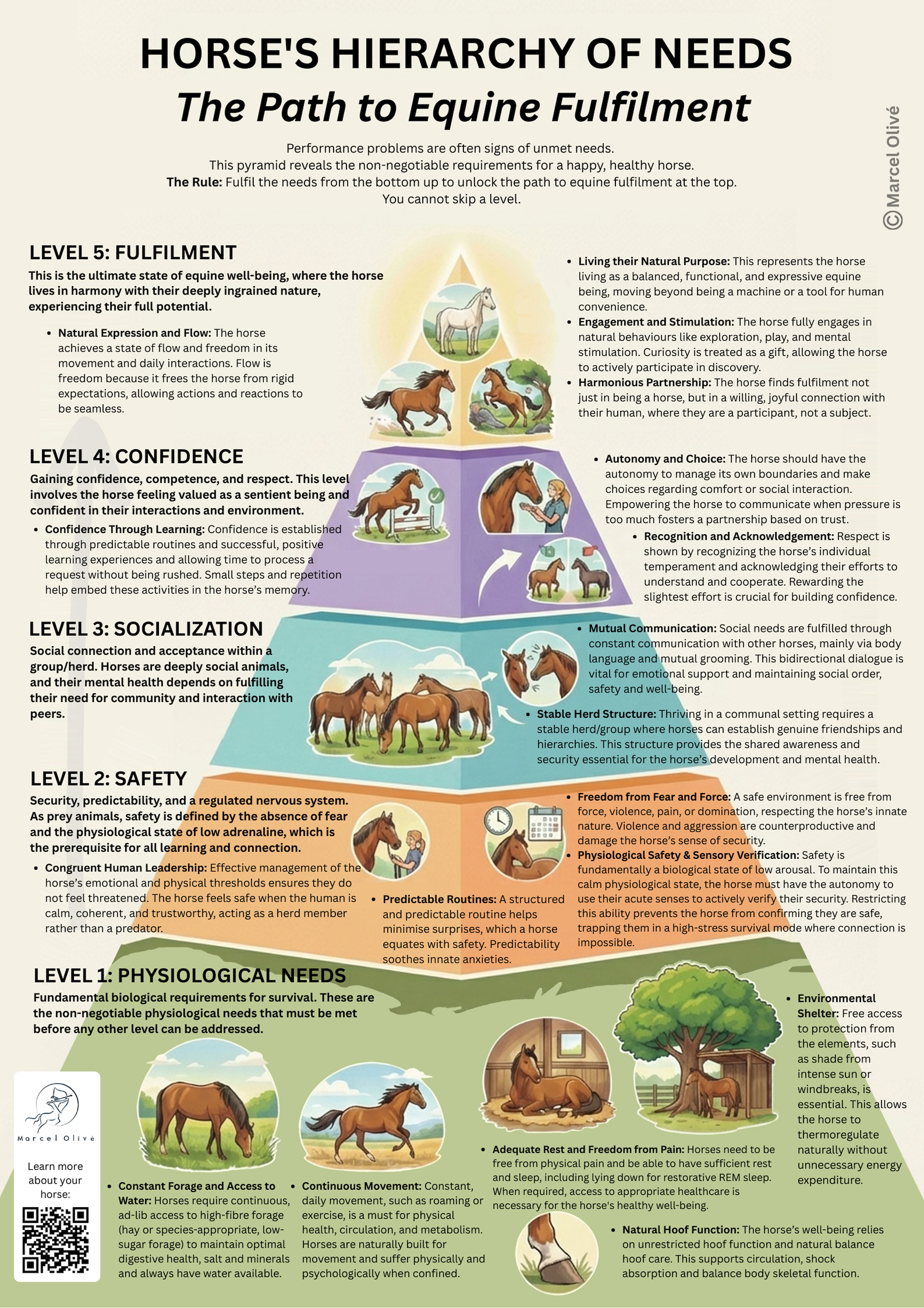 Horses-Hierarchy-of-Needs_300dpi
