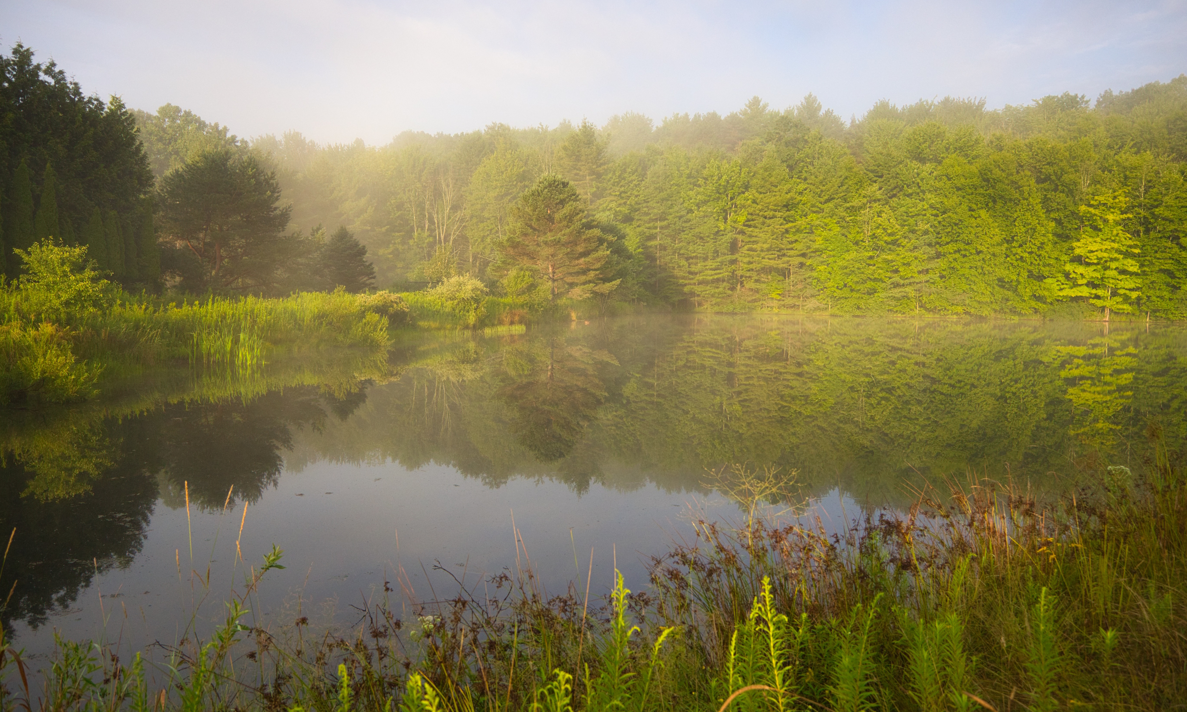 Flock Finger Lakes lake shot