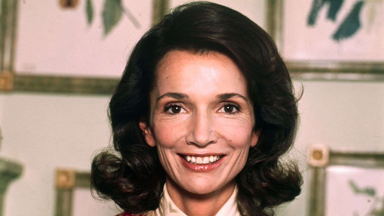 lee radziwill on a plain background