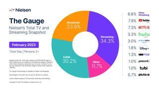 Nielsen's The Gauge Feb 2023 viewing chart