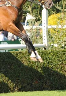 eventingGP2.jpg