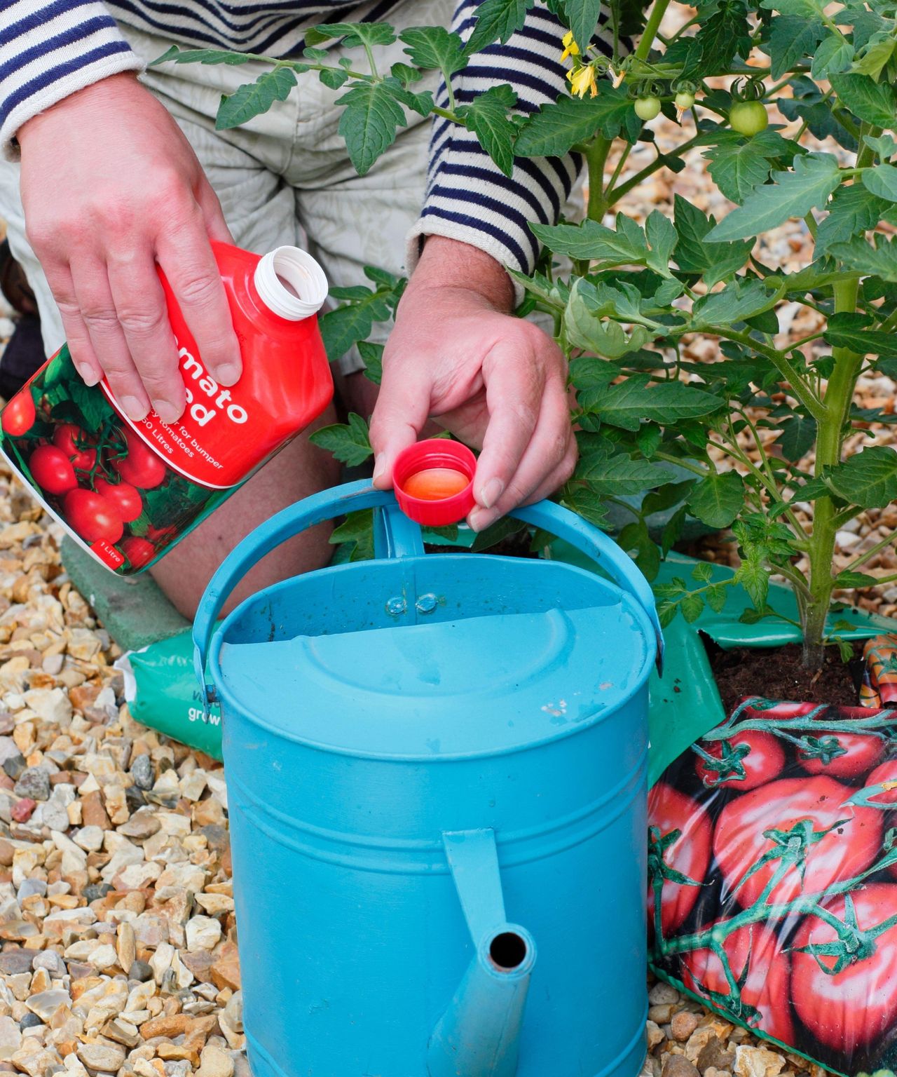 How to choose the best fertilizer for a vegetable garden Homes & Gardens