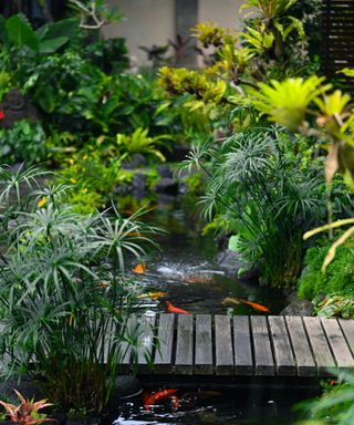 koi pond with planting and wooden footbridge