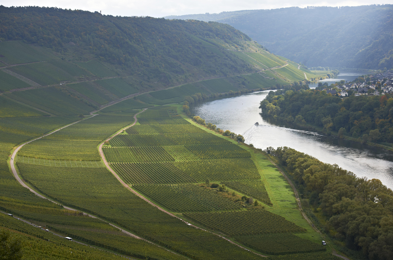 Grosses Gewachs 2021