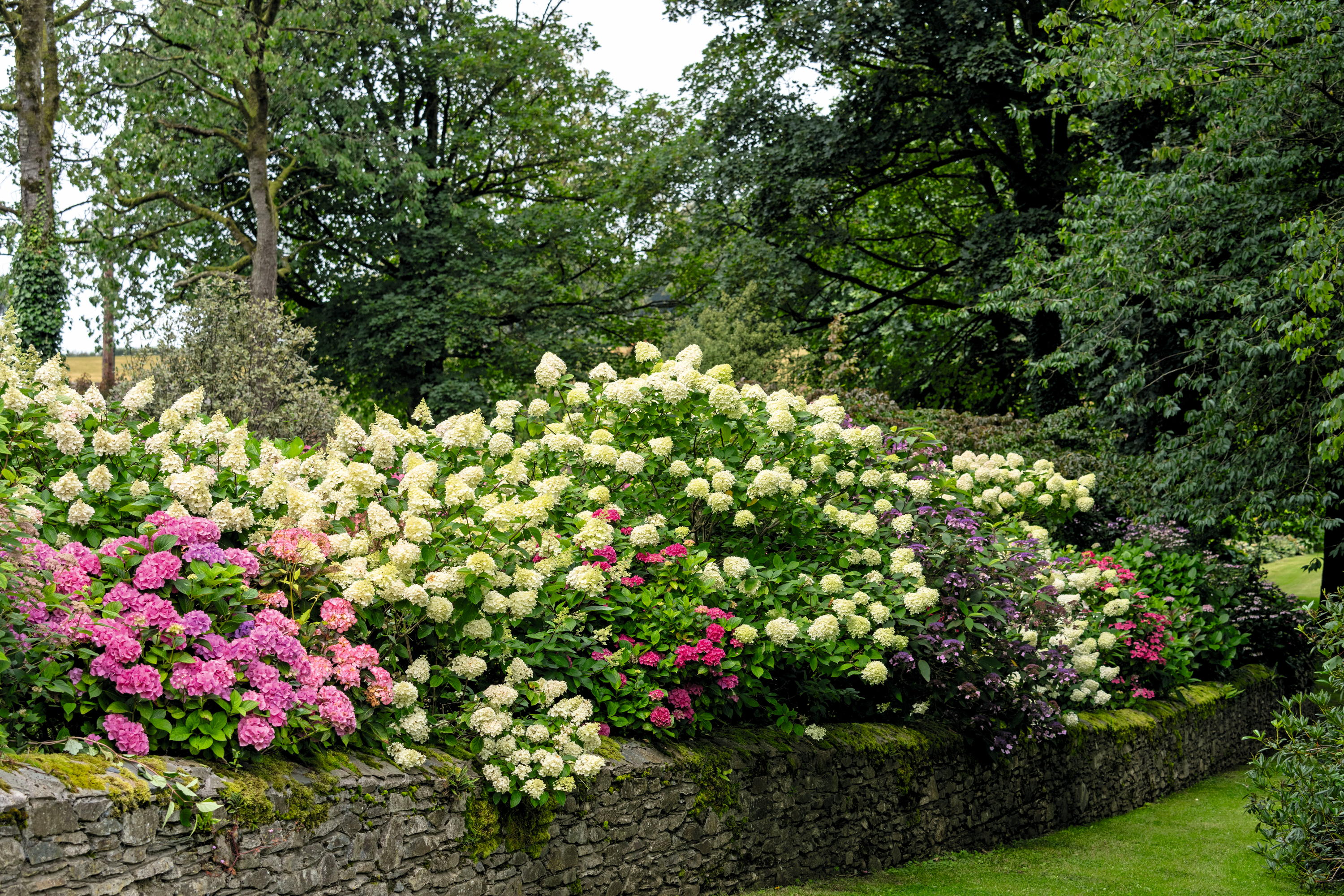 The garden at Ballynure House